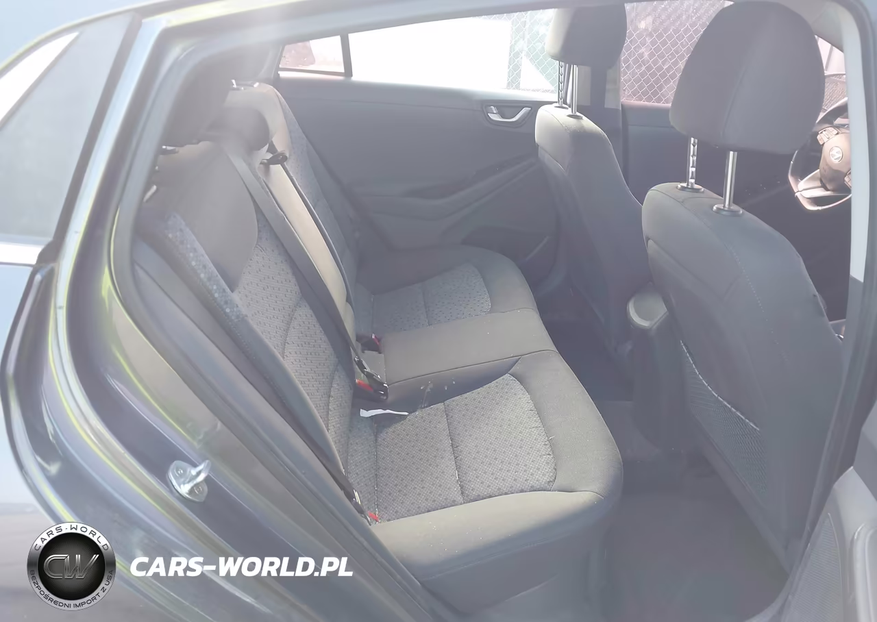 2019 Hyundai Ioniq Hybrid Sel VIN:KMHC75LC4KU117454 - 8