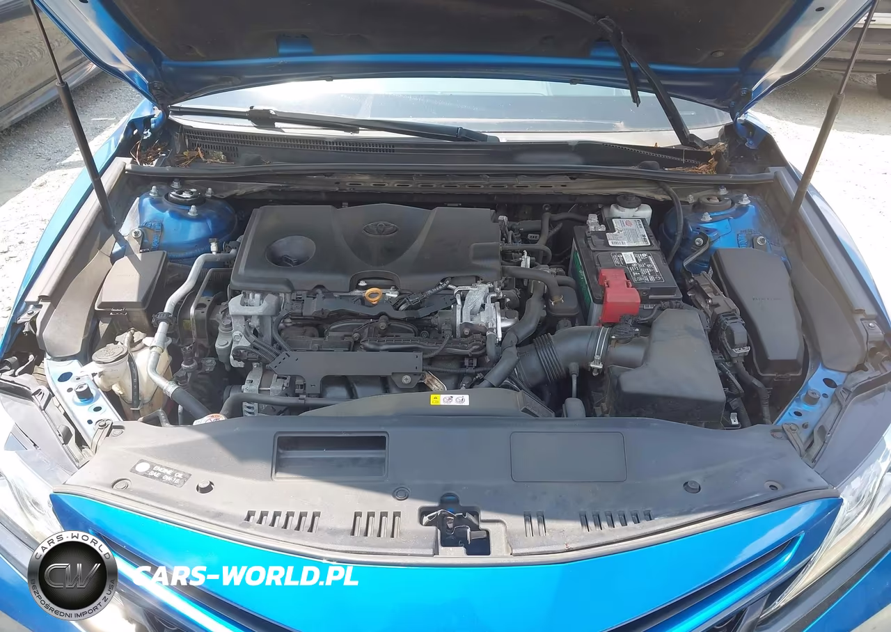 2019 Toyota Camry Xse VIN:4T1B61HK0KU294669 - 10