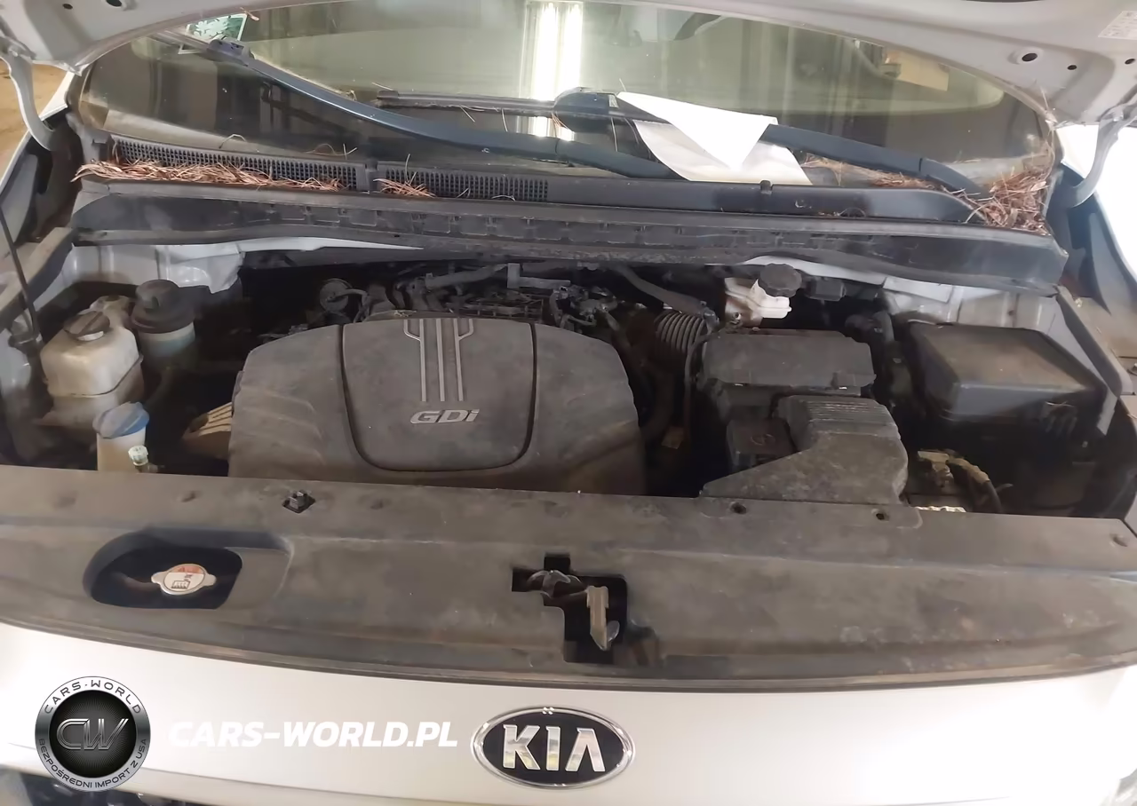 2017 Kia Sedona Lx VIN:KNDMB5C15H6218599 - 10