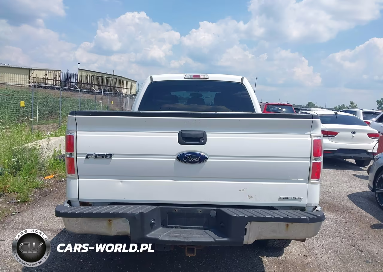 2012 Ford F-150 Fx4-Lariat-Stx-Xl-Xlt VIN:1FTFX1EF6CFC40731 - 16