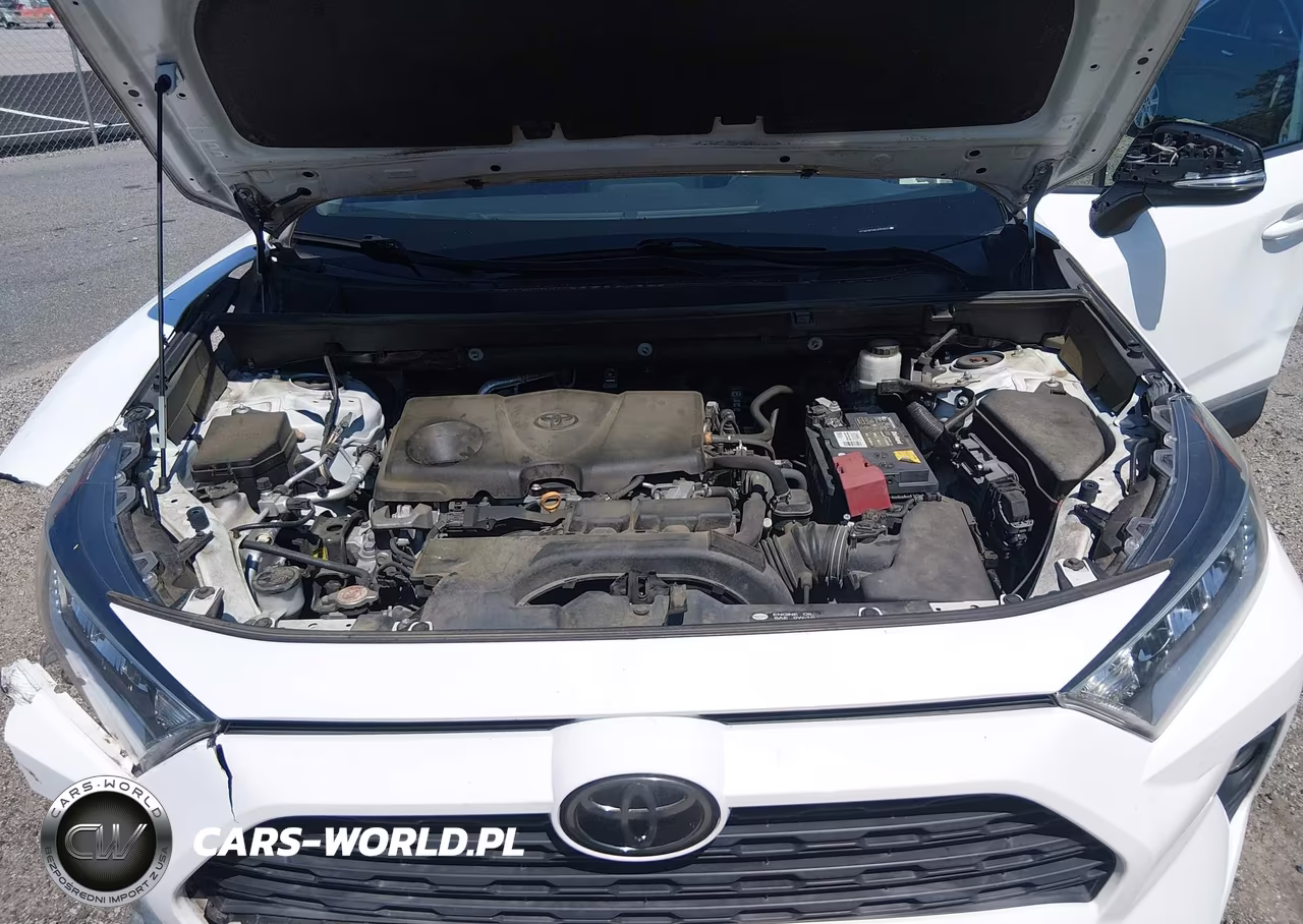 2020 Toyota Rav4 Xle VIN:2T3W1RFV6LC053625 - 10