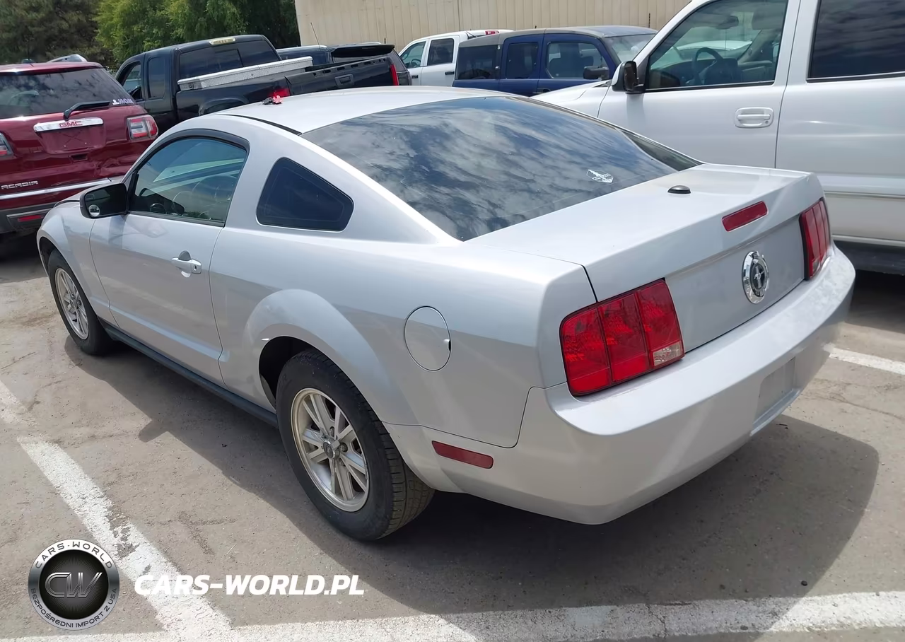 2008 Ford Mustang V6 Deluxe-V6 Premium VIN:1ZVHT80N685103441 - 3