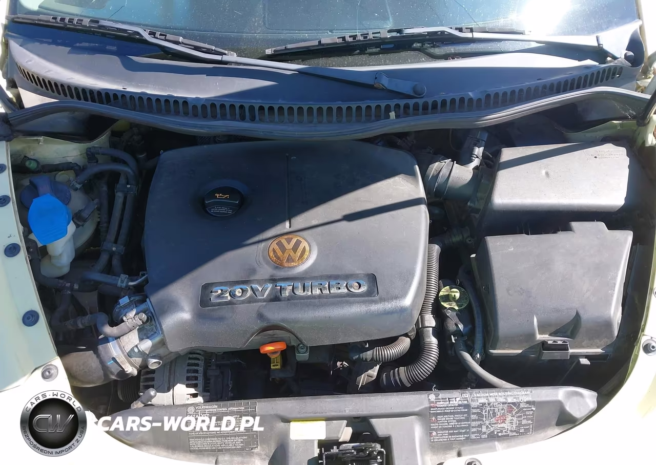 2004 Volkswagen New Beetle Gls 1.8T VIN:3VWCD31Y64M321483 - 10