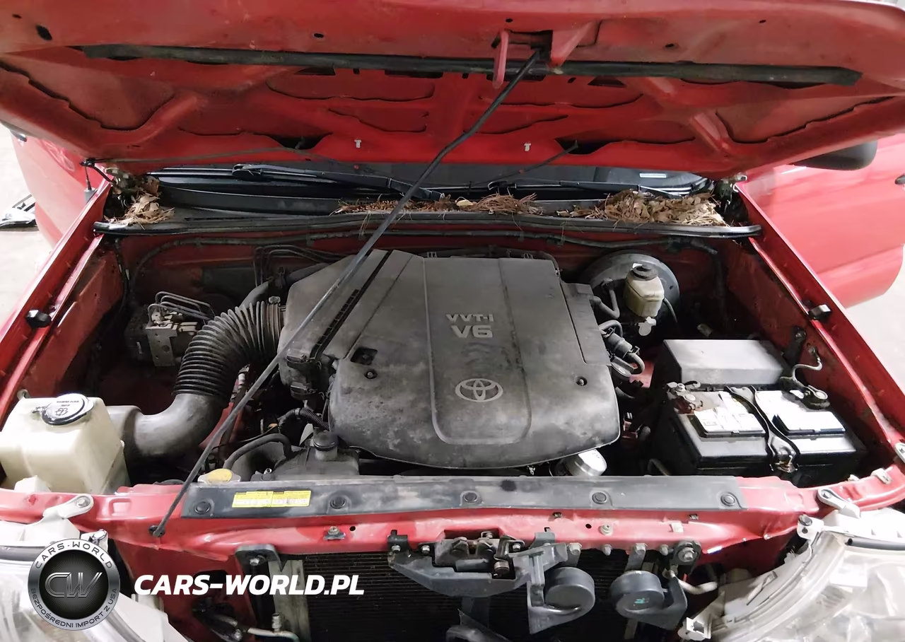 2008 Toyota Tacoma Base V6 VIN:5TEUU42N68Z536582 - 10