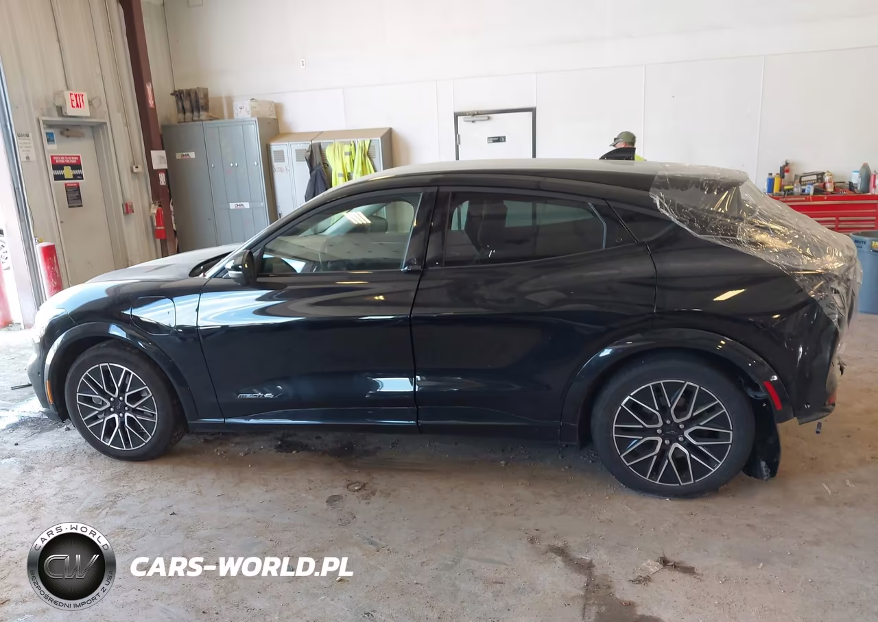 2024 Ford Mustang Mach-E Premium VIN:3FMTK3SU9RMA04045 - 14