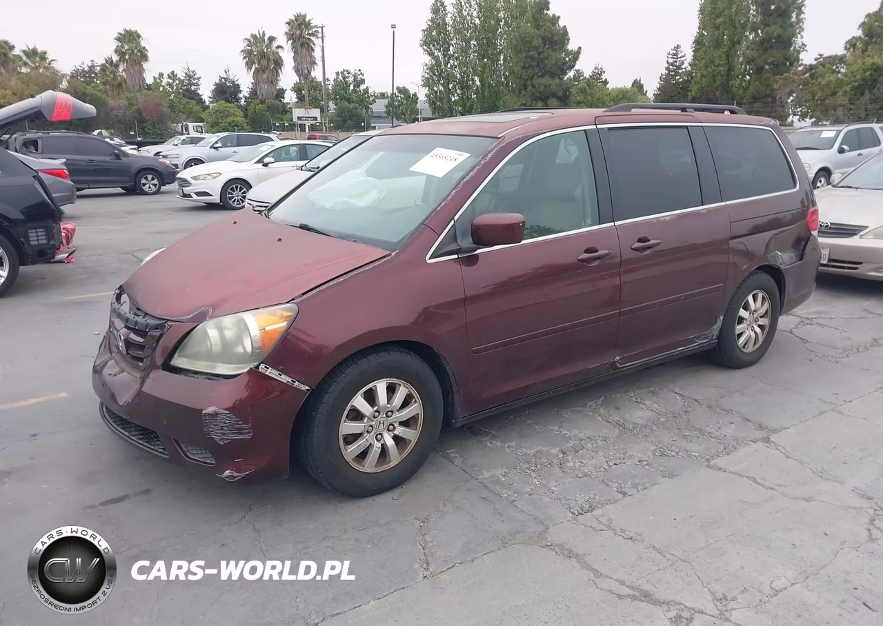 2009 Honda Odyssey Ex-L VIN:5FNRL38709B405131 - 2