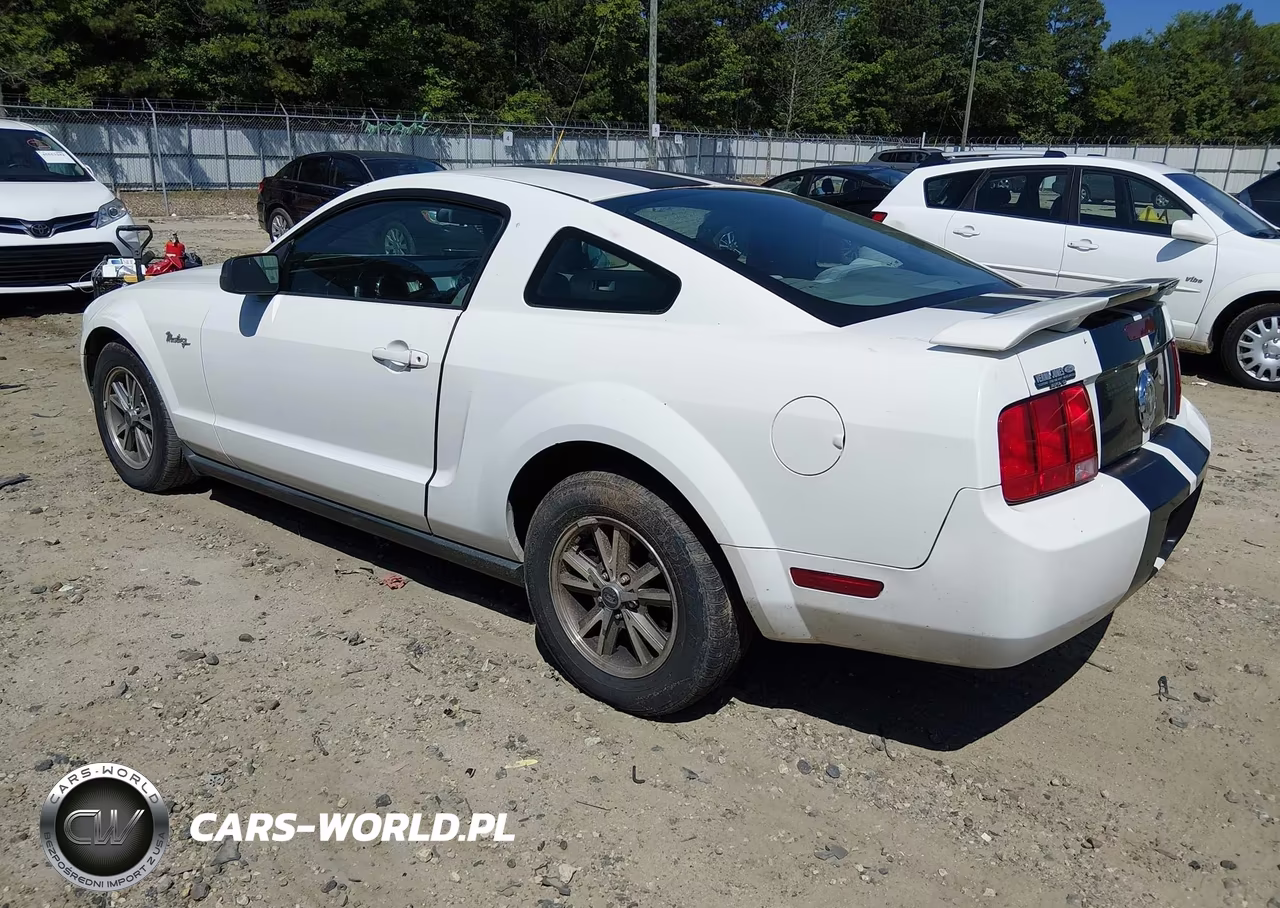 2005 Ford Mustang V6 Deluxe-V6 Premium VIN:1ZVFT80N955104506 - 3