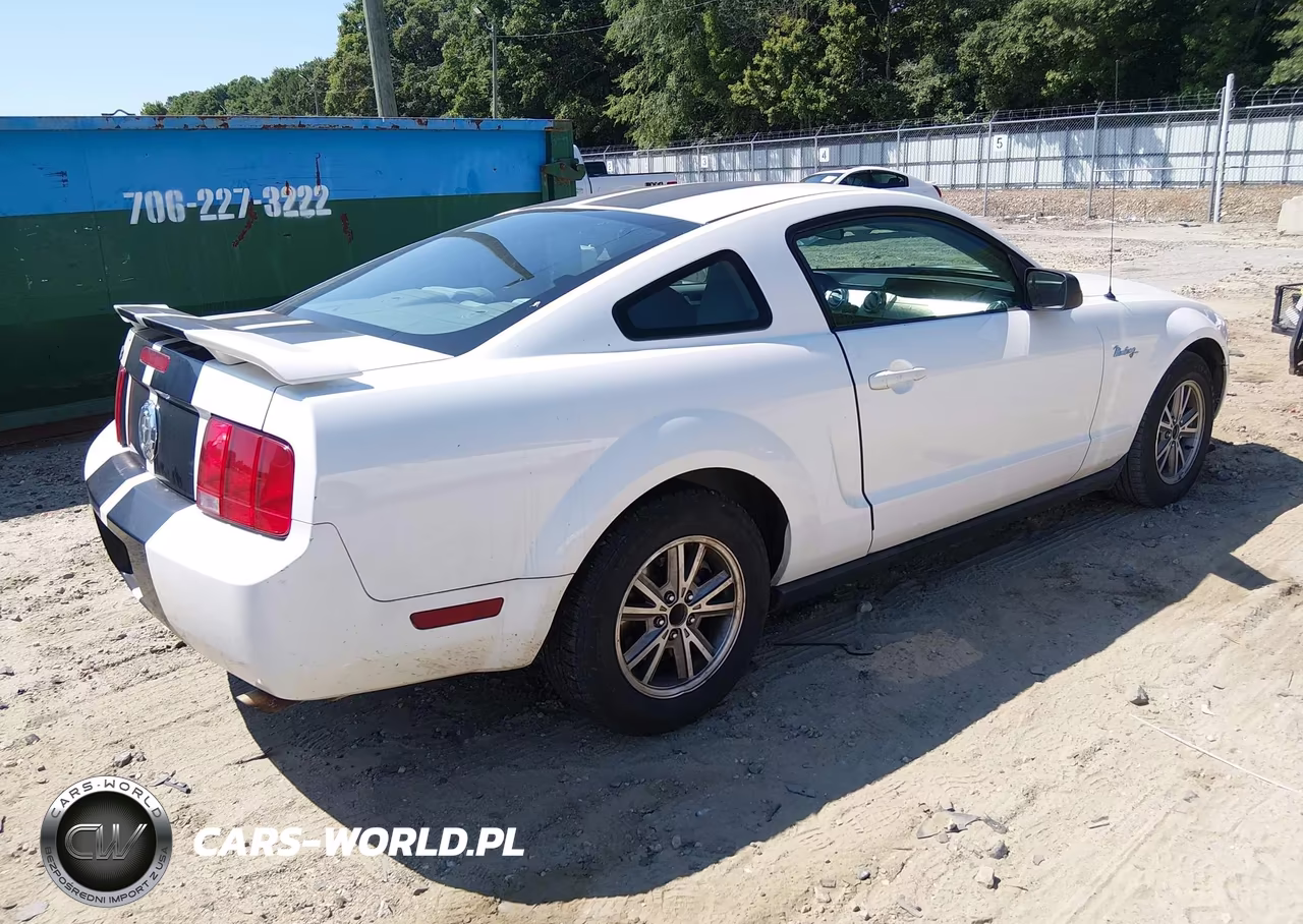 2005 Ford Mustang V6 Deluxe-V6 Premium VIN:1ZVFT80N955104506 - 4