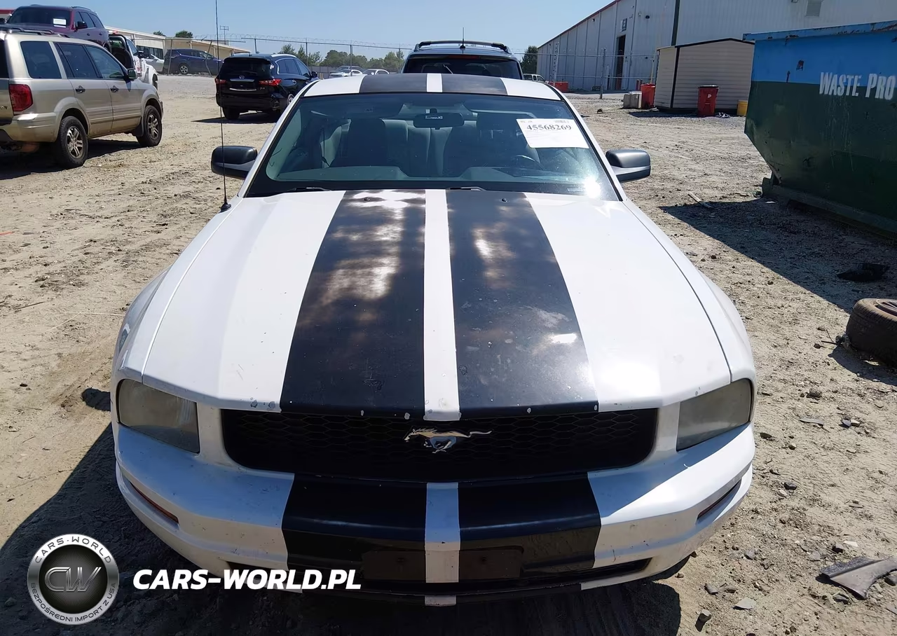 2005 Ford Mustang V6 Deluxe-V6 Premium VIN:1ZVFT80N955104506 - 6