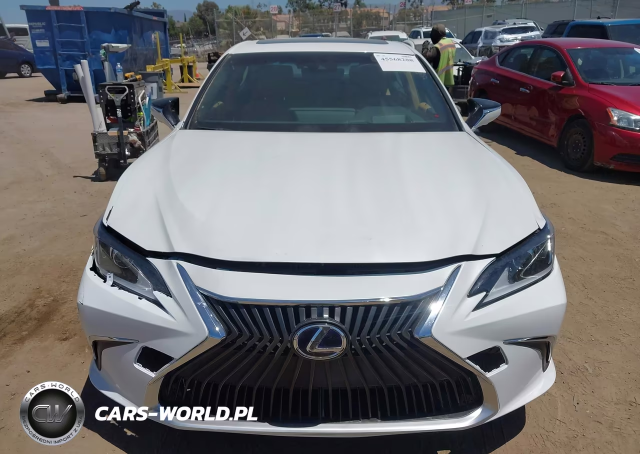 2025 Lexus Es 300H Luxury VIN:58AEA1C16SU069563 - 12