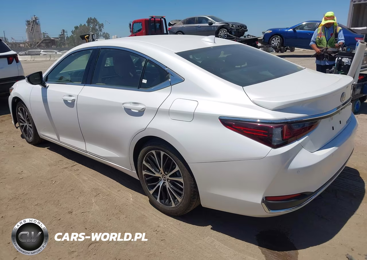 2025 Lexus Es 300H Luxury VIN:58AEA1C16SU069563 - 3