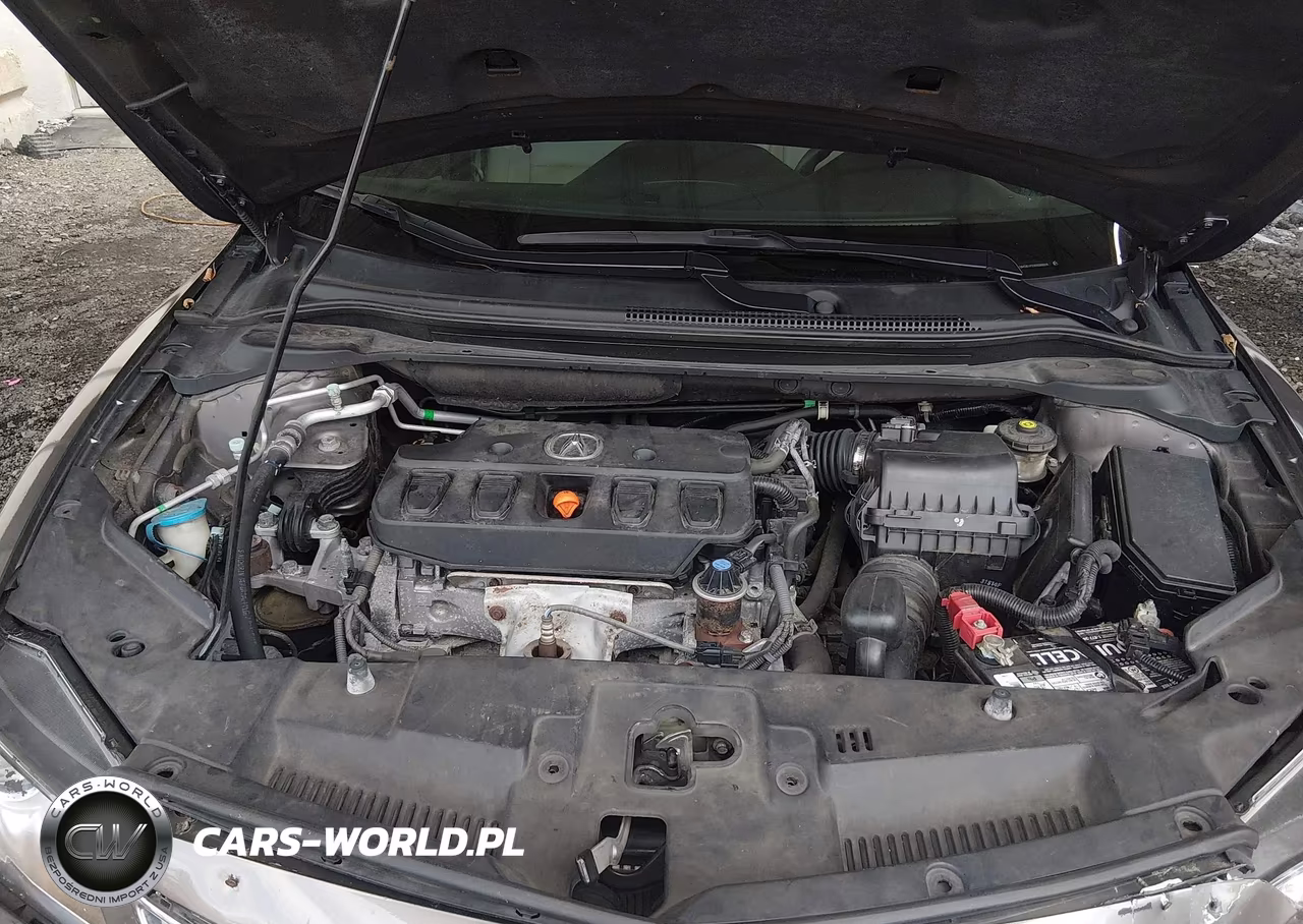 2014 Acura Ilx 2.0L VIN:19VDE1F53EE009018 - 10