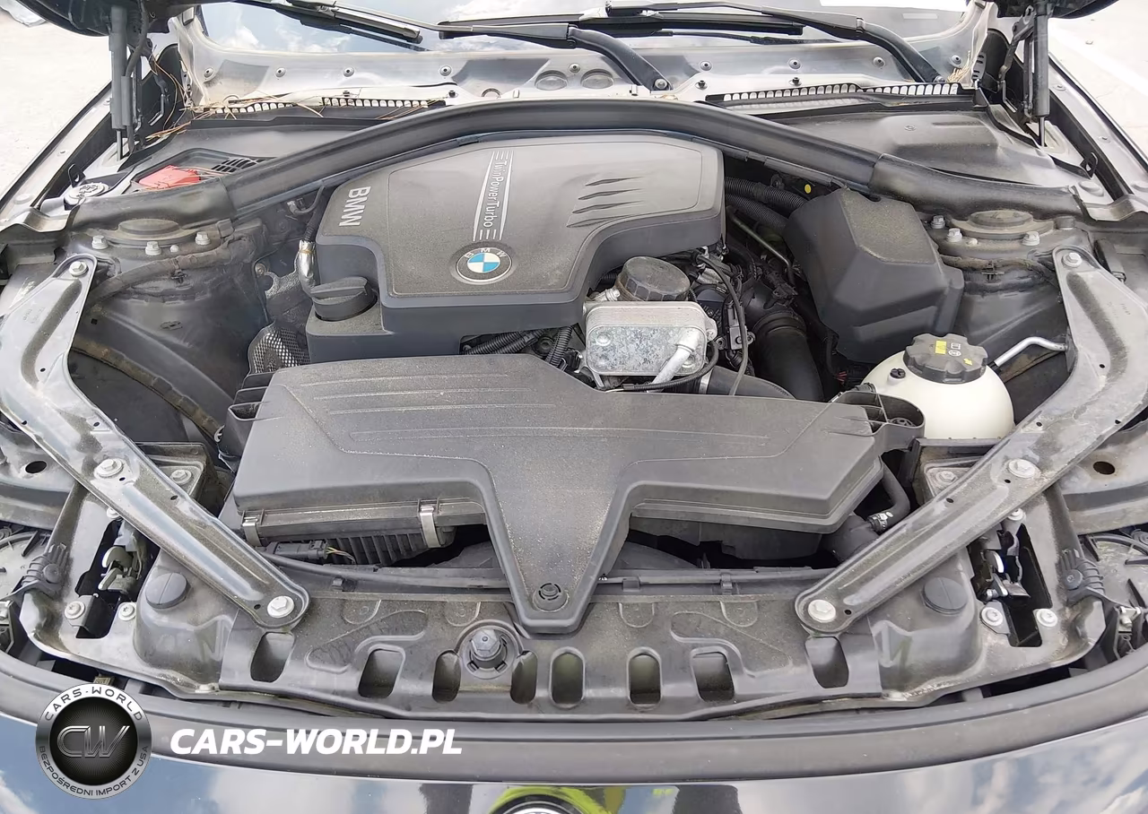2016 BMW 428I xDrive VIN:WBA3T1C59GP822392 - 10