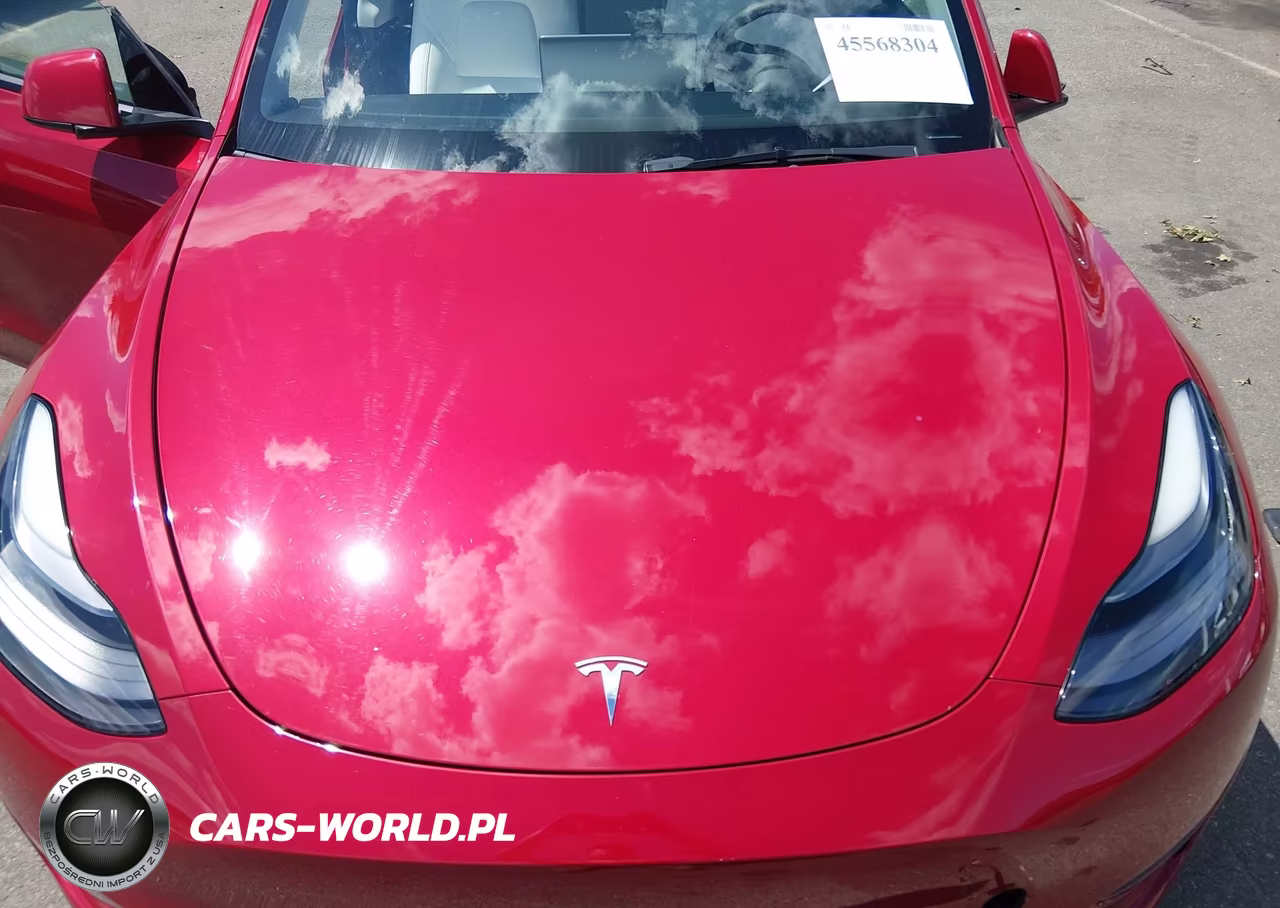 2023 Tesla Model Y Performance Dual Motor All-Wheel Drive VIN:7SAYGDEF3PF624814 - 10