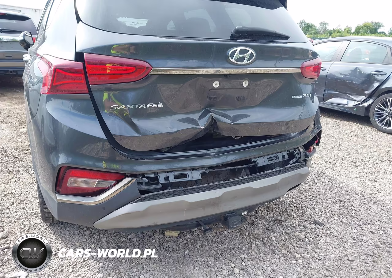 2020 Hyundai Santa Fe Limited 2.0T VIN:5NMS5CAA7LH300724 - 6