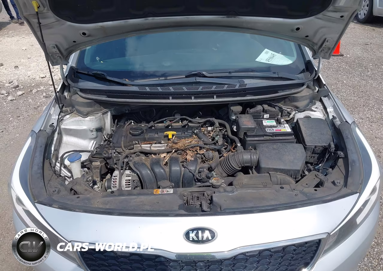 2017 Kia Forte Lx VIN:3KPFL4A77HE132986 - 10
