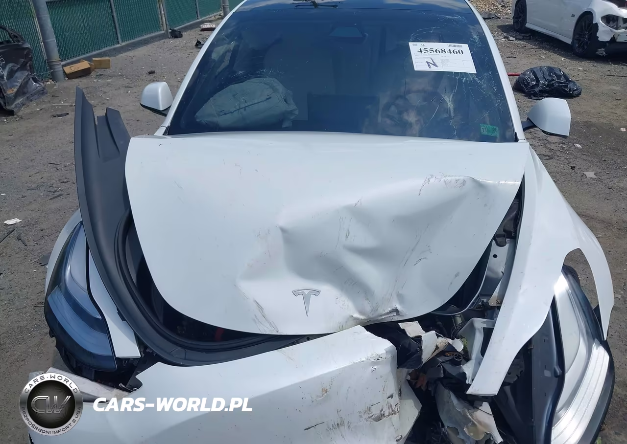 2021 Tesla Model 3 Long Range Dual Motor All-Wheel Drive VIN:5YJ3E1EBXMF862485 - 10