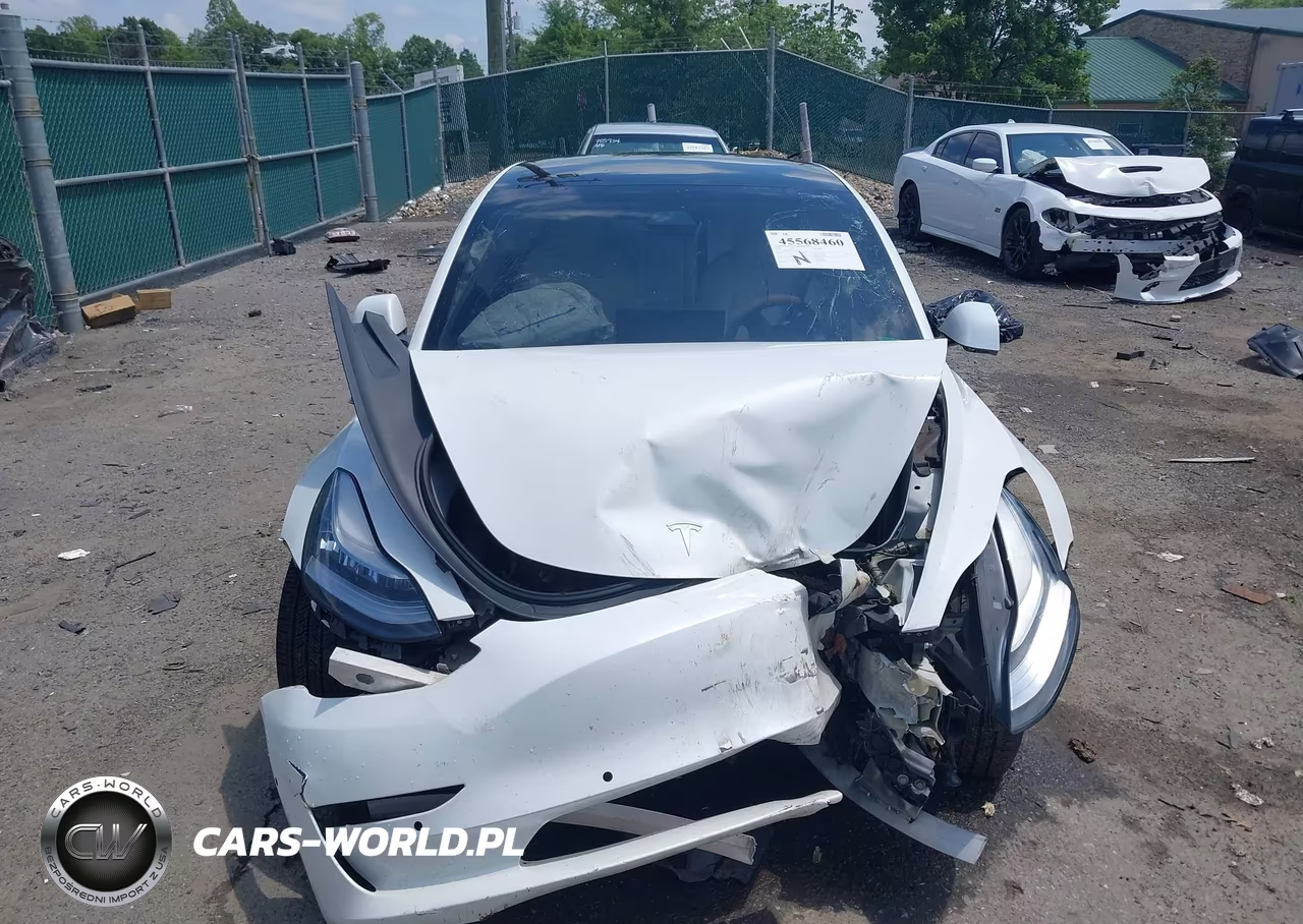 2021 Tesla Model 3 Long Range Dual Motor All-Wheel Drive VIN:5YJ3E1EBXMF862485 - 12