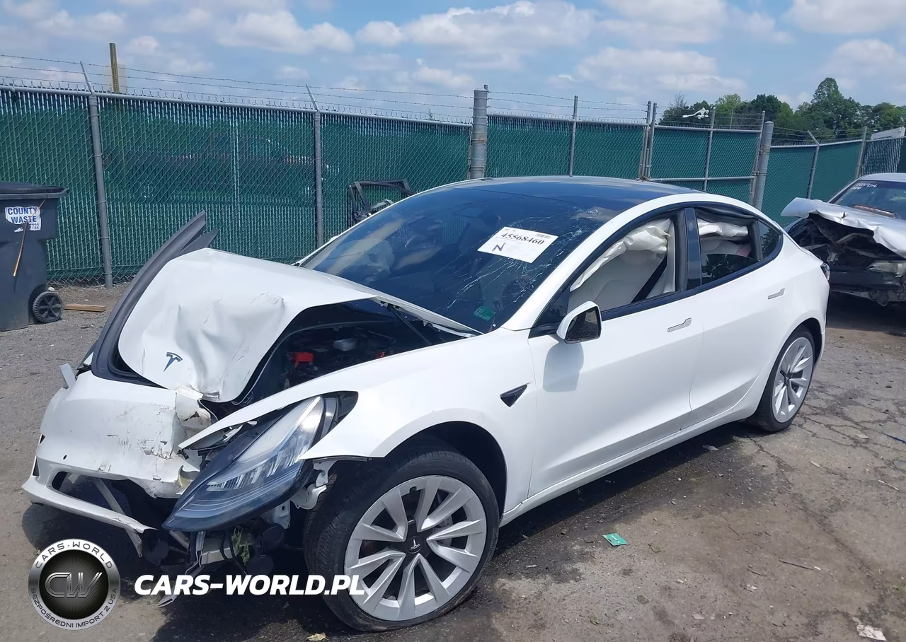 2021 Tesla Model 3 Long Range Dual Motor All-Wheel Drive VIN:5YJ3E1EBXMF862485 - 2