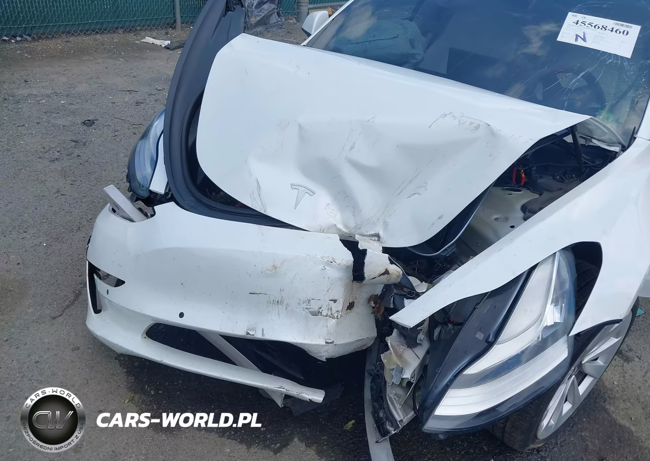 2021 Tesla Model 3 Long Range Dual Motor All-Wheel Drive VIN:5YJ3E1EBXMF862485 - 6