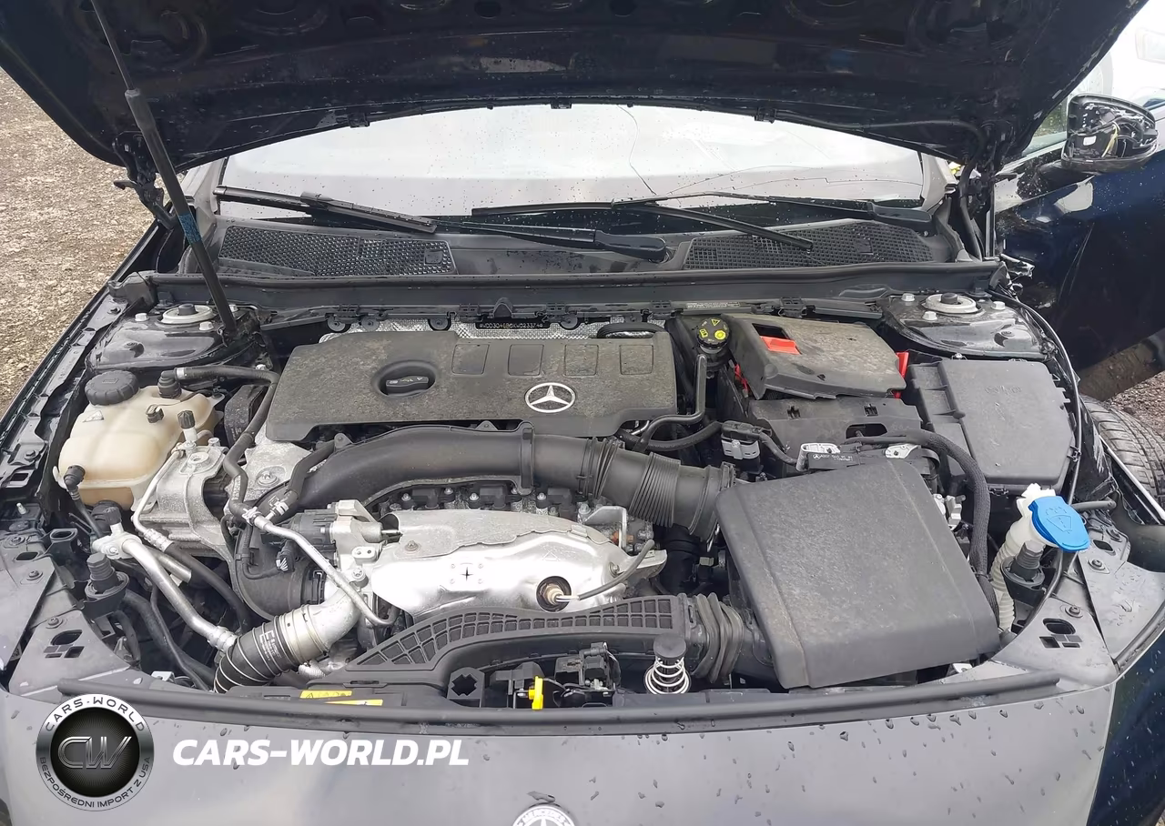 2019 Mercedes-Benz A 220 VIN:WDD3G4EB0KW023374 - 10