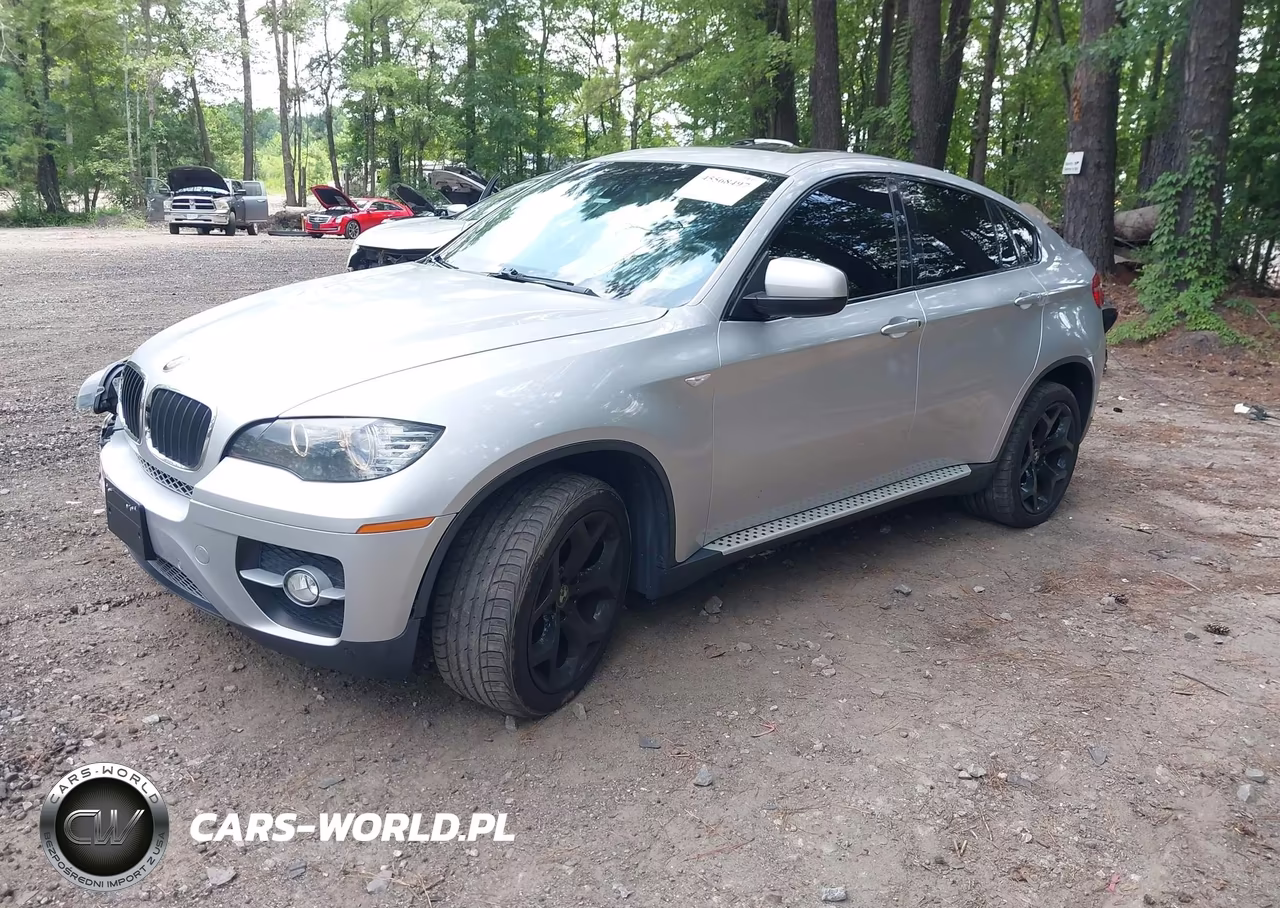 2011 BMW X6 xDrive35I VIN:5UXFG2C56BLX07306 - 2