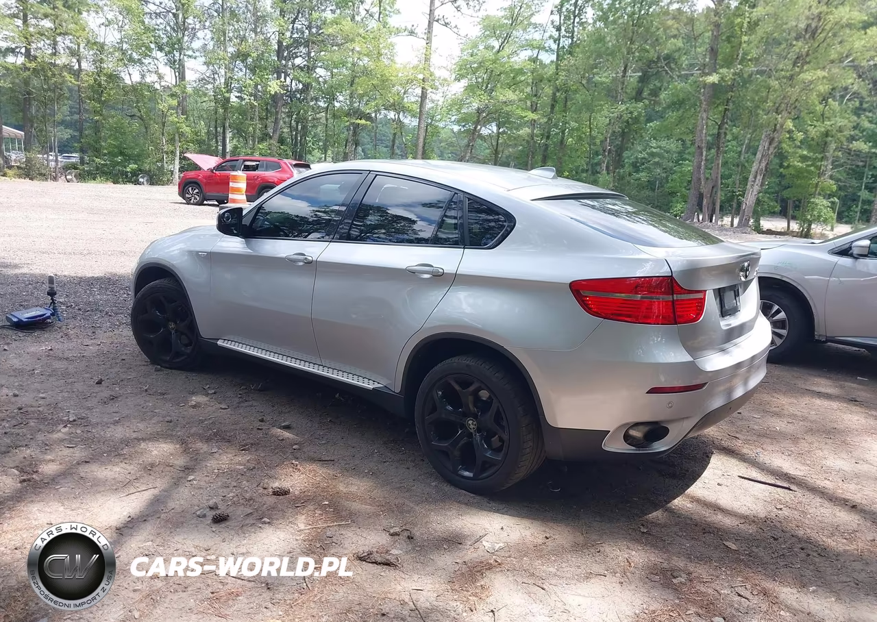 2011 BMW X6 xDrive35I VIN:5UXFG2C56BLX07306 - 3