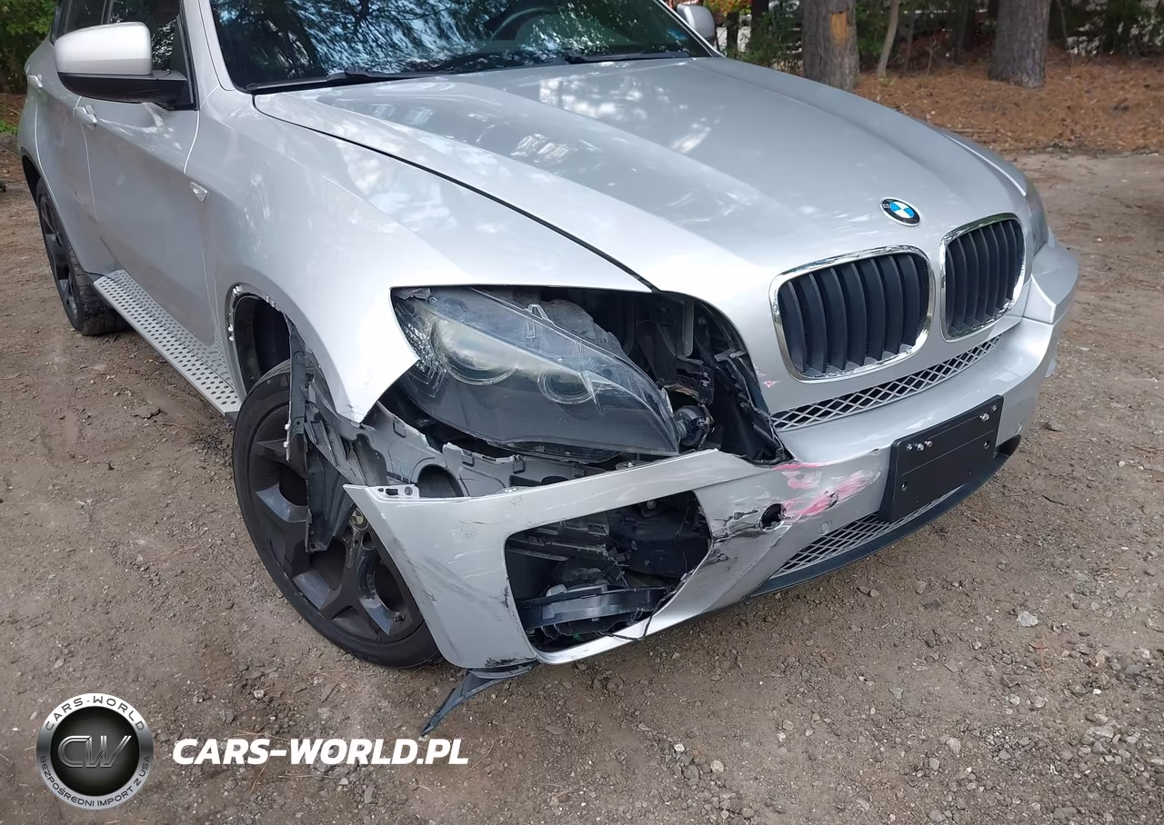 2011 BMW X6 xDrive35I VIN:5UXFG2C56BLX07306 - 6