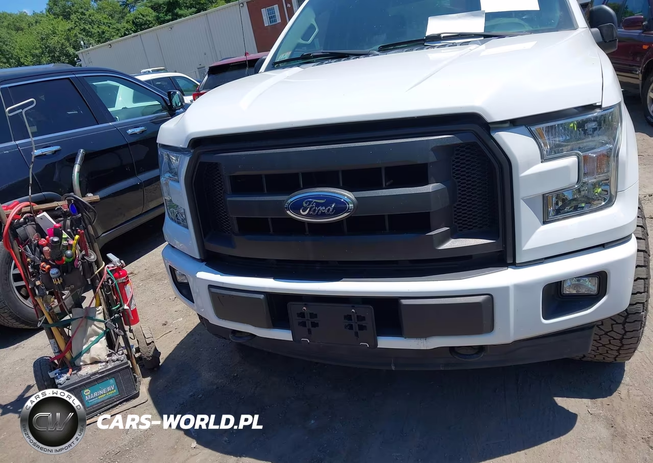 2017 Ford F-150 Xl VIN:1FTEX1EP9HFA17711 - 12