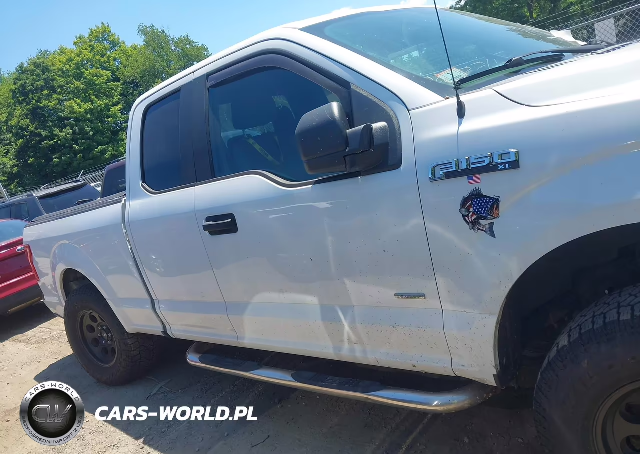 2017 Ford F-150 Xl VIN:1FTEX1EP9HFA17711 - 13