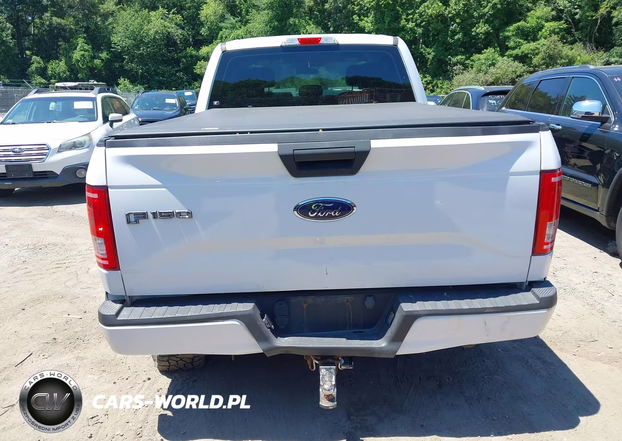 2017 Ford F-150 Xl VIN:1FTEX1EP9HFA17711 - 16