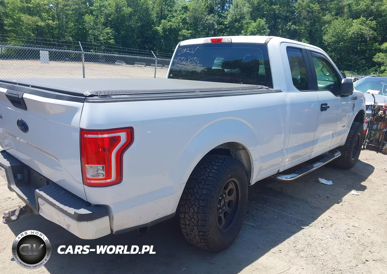 2017 Ford F-150 Xl VIN:1FTEX1EP9HFA17711 - 4