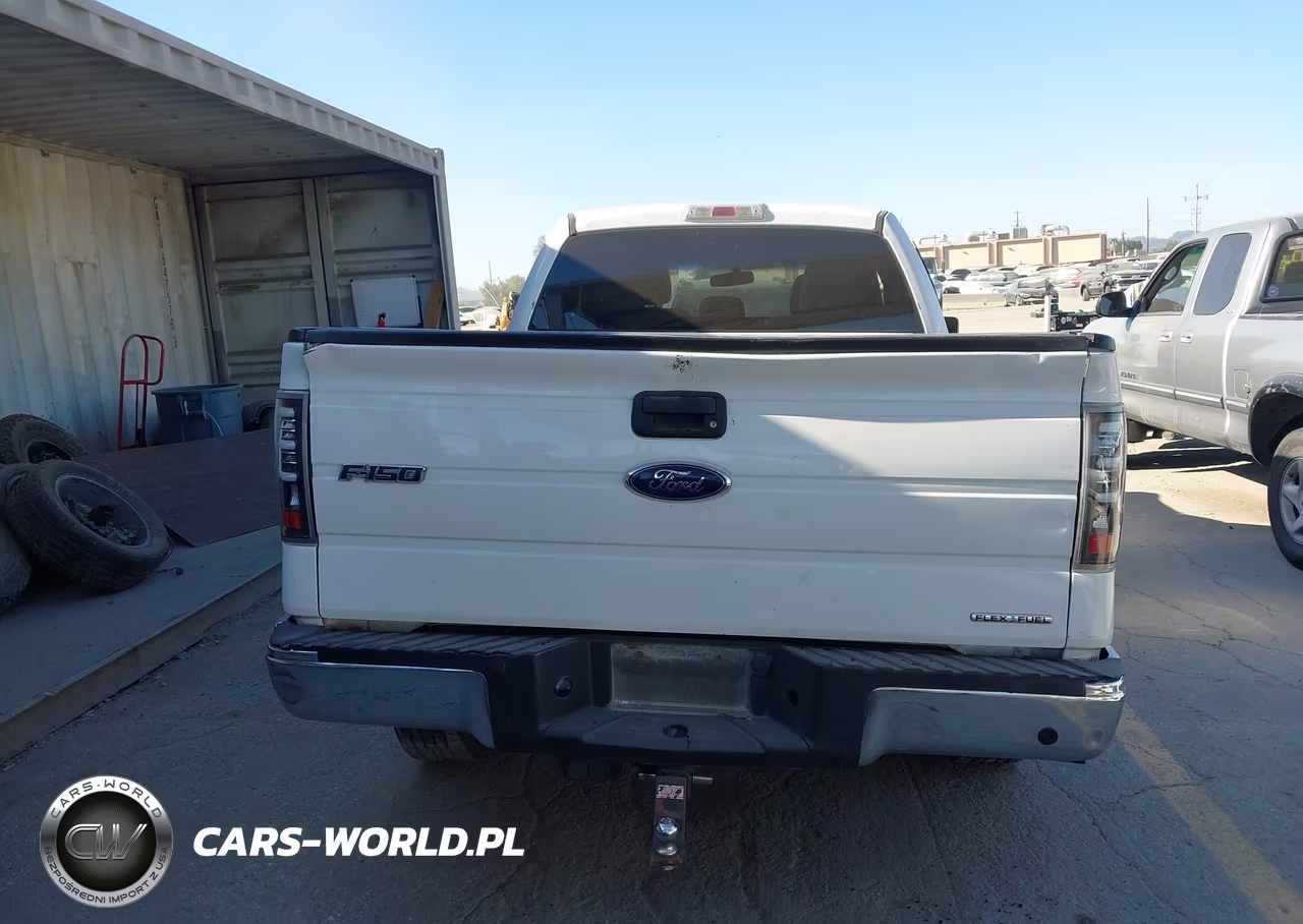 2013 Ford F-150 Stx-Xl-Xlt VIN:1FTEX1CM1DFB30944 - 17