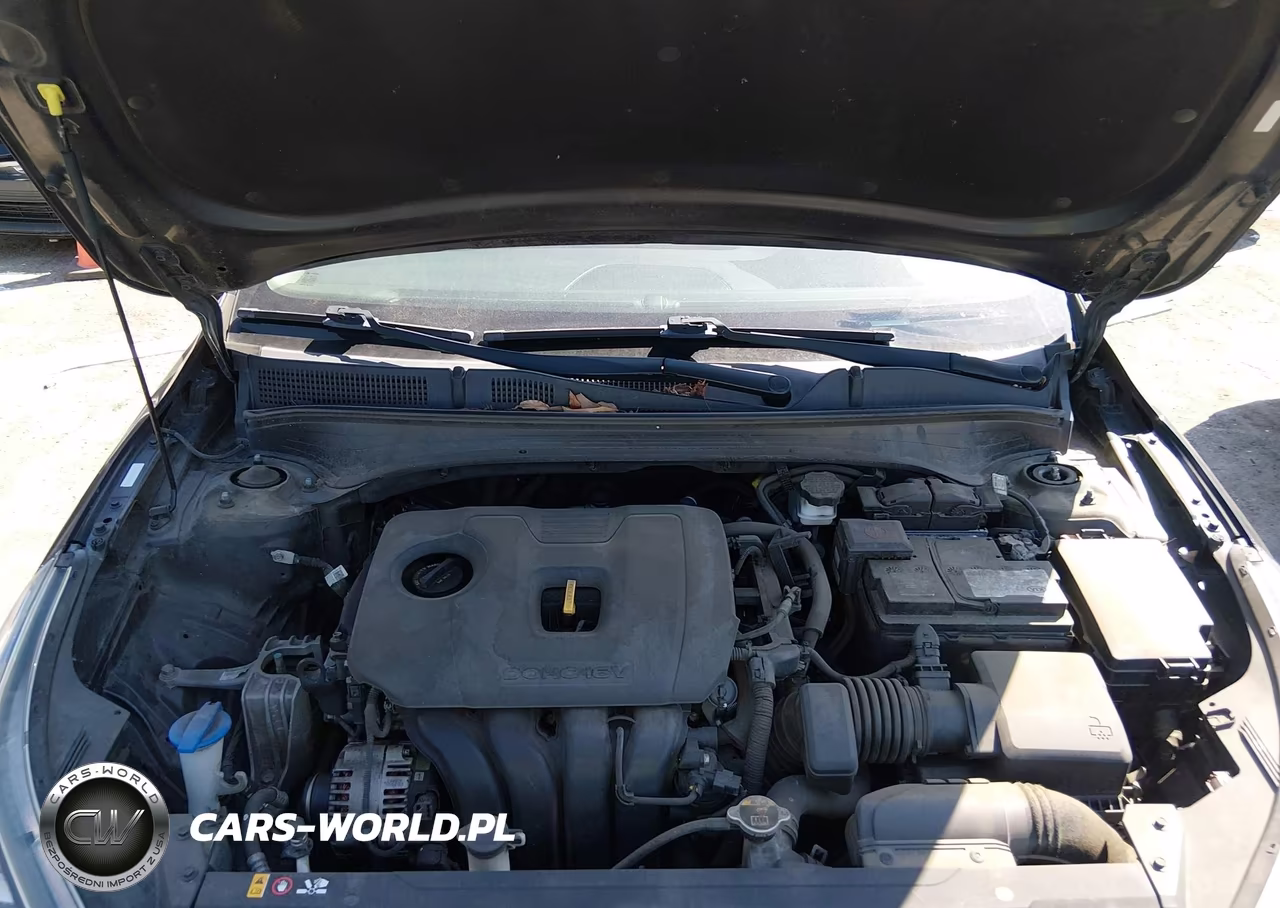 2019 Kia Forte Lxs VIN:3KPF24AD8KE070241 - 10
