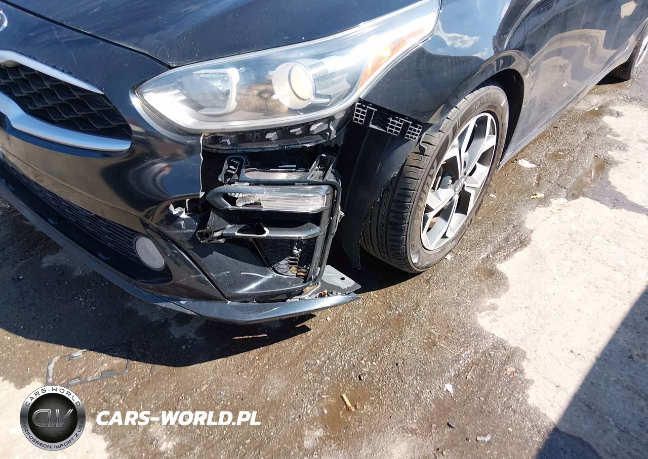 2019 Kia Forte Lxs VIN:3KPF24AD8KE070241 - 19