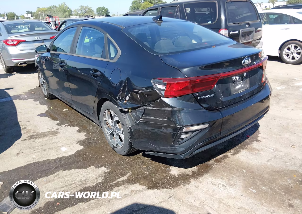 2019 Kia Forte Lxs VIN:3KPF24AD8KE070241 - 3