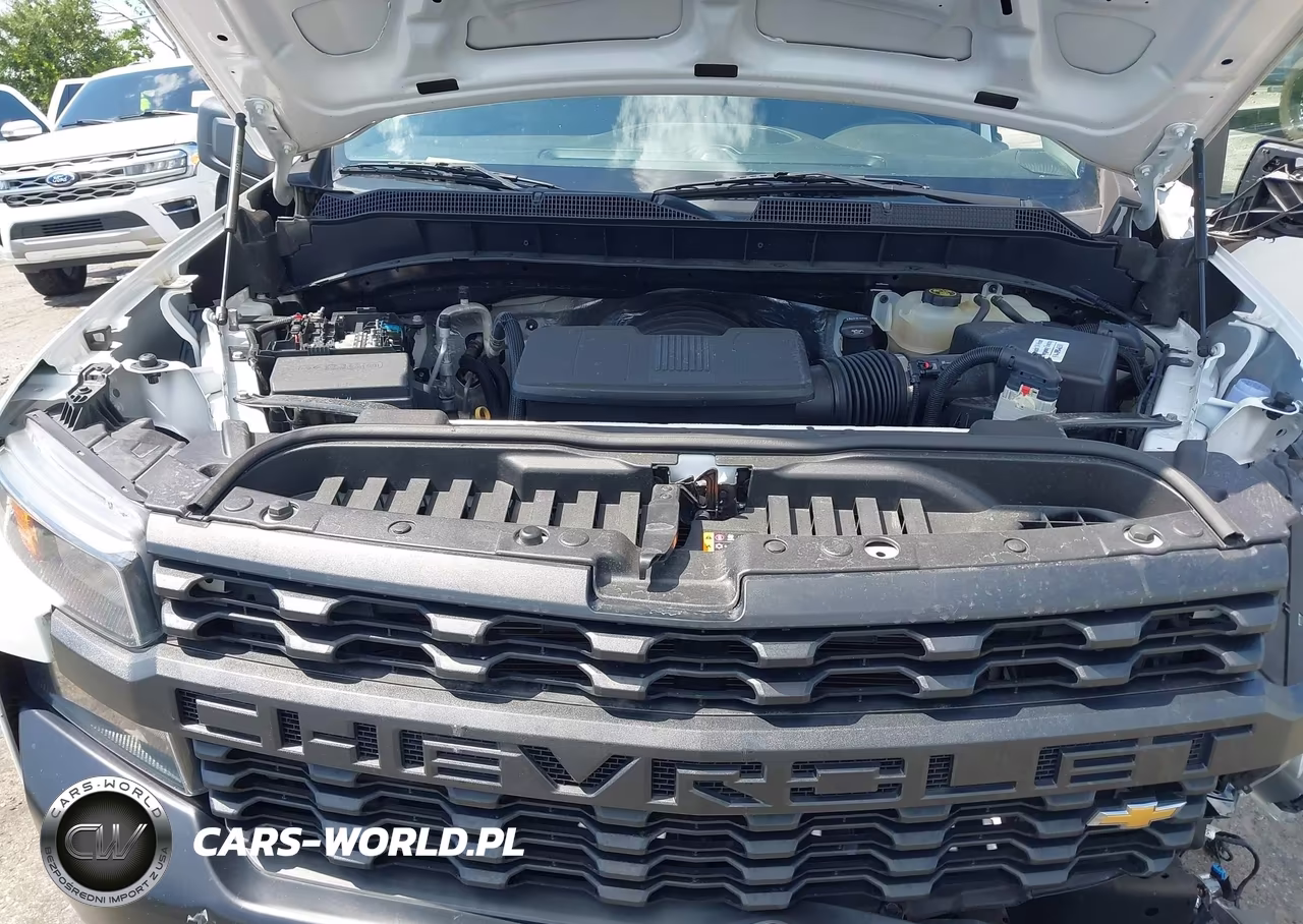 2019 Chevrolet Silverado 1500 Work Truck VIN:1GCRWAEFXKZ319106 - 10