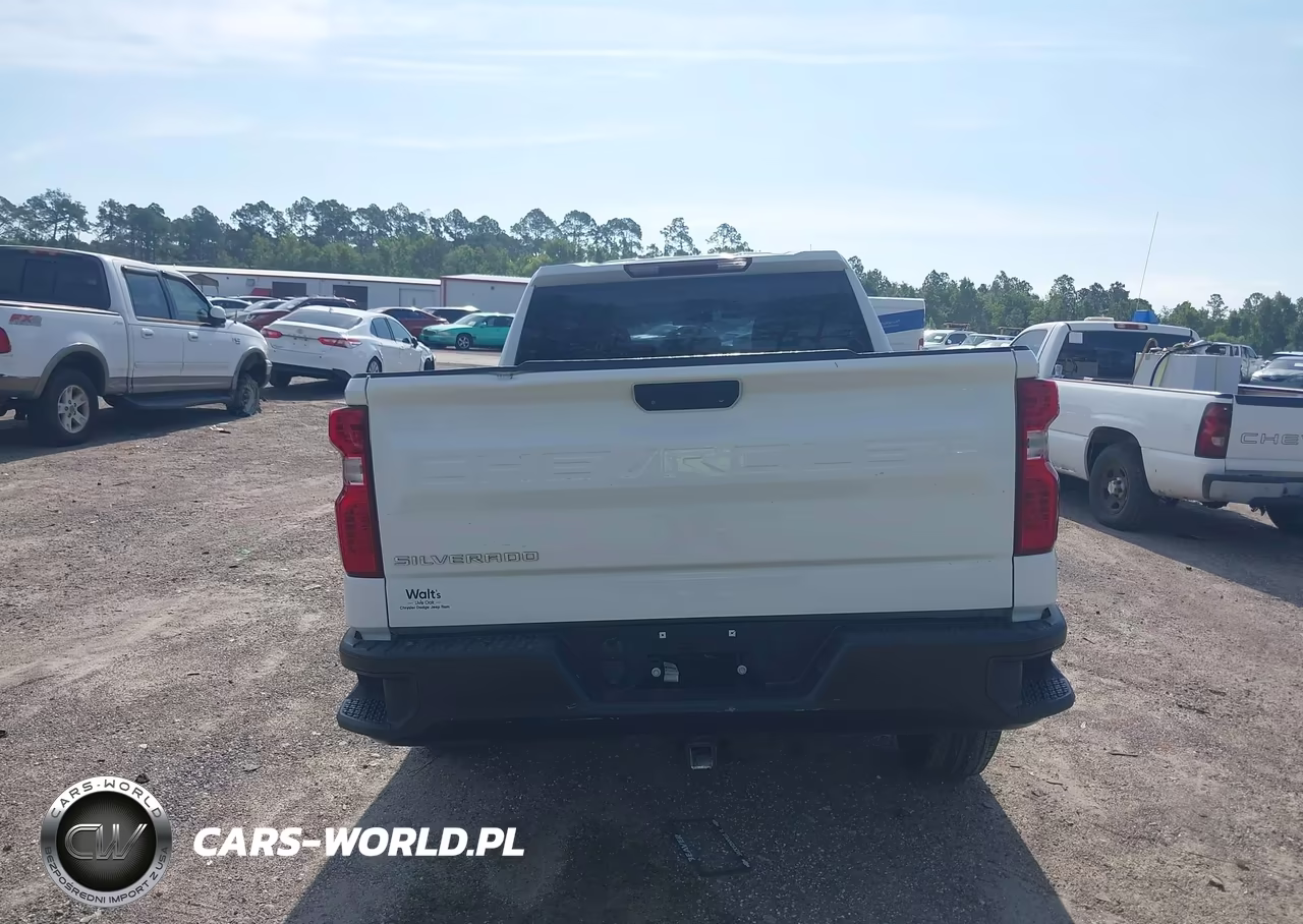 2019 Chevrolet Silverado 1500 Work Truck VIN:1GCRWAEFXKZ319106 - 17