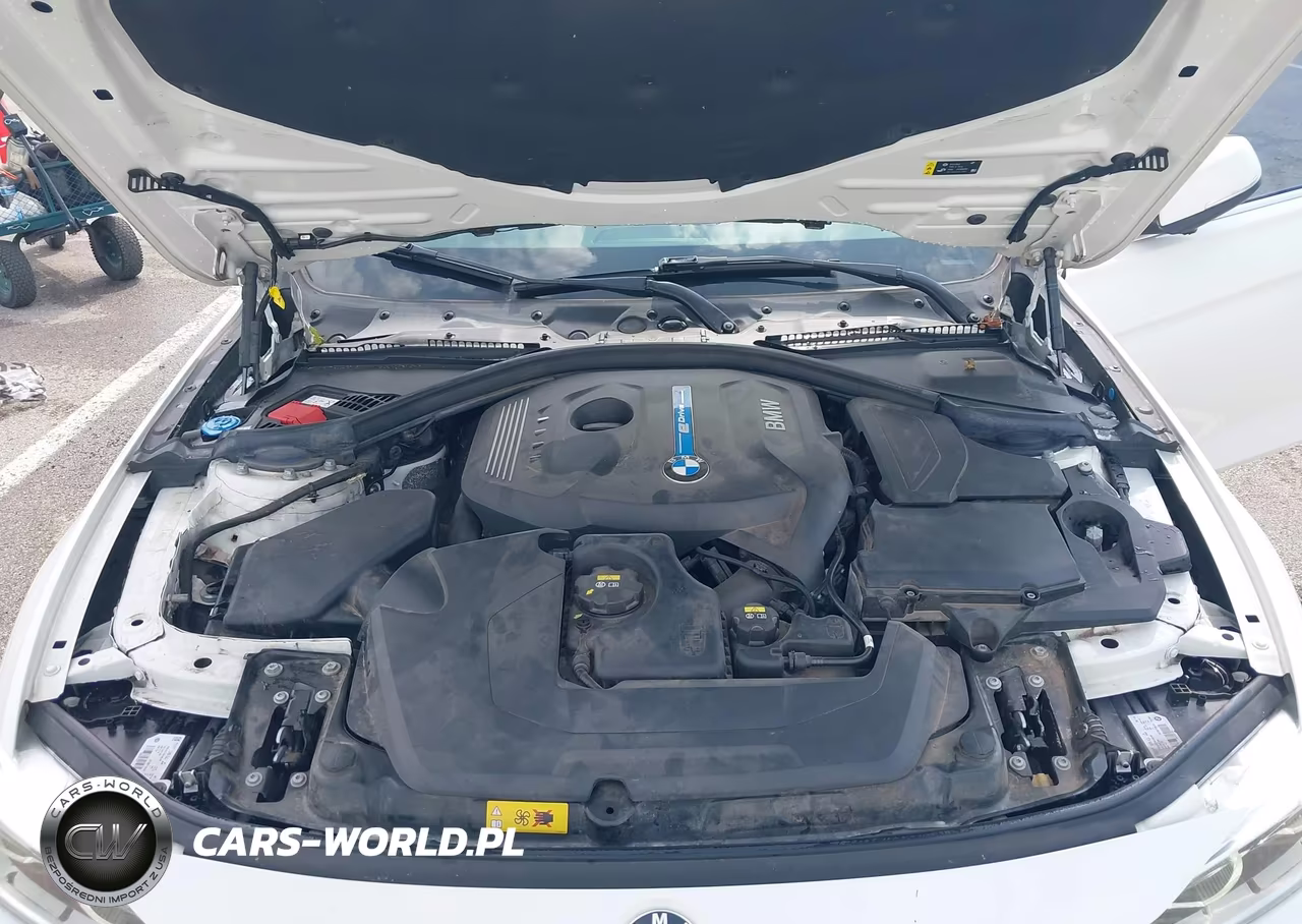2018 BMW 330E Iperformance VIN:WBA8E1C52JA755922 - 10