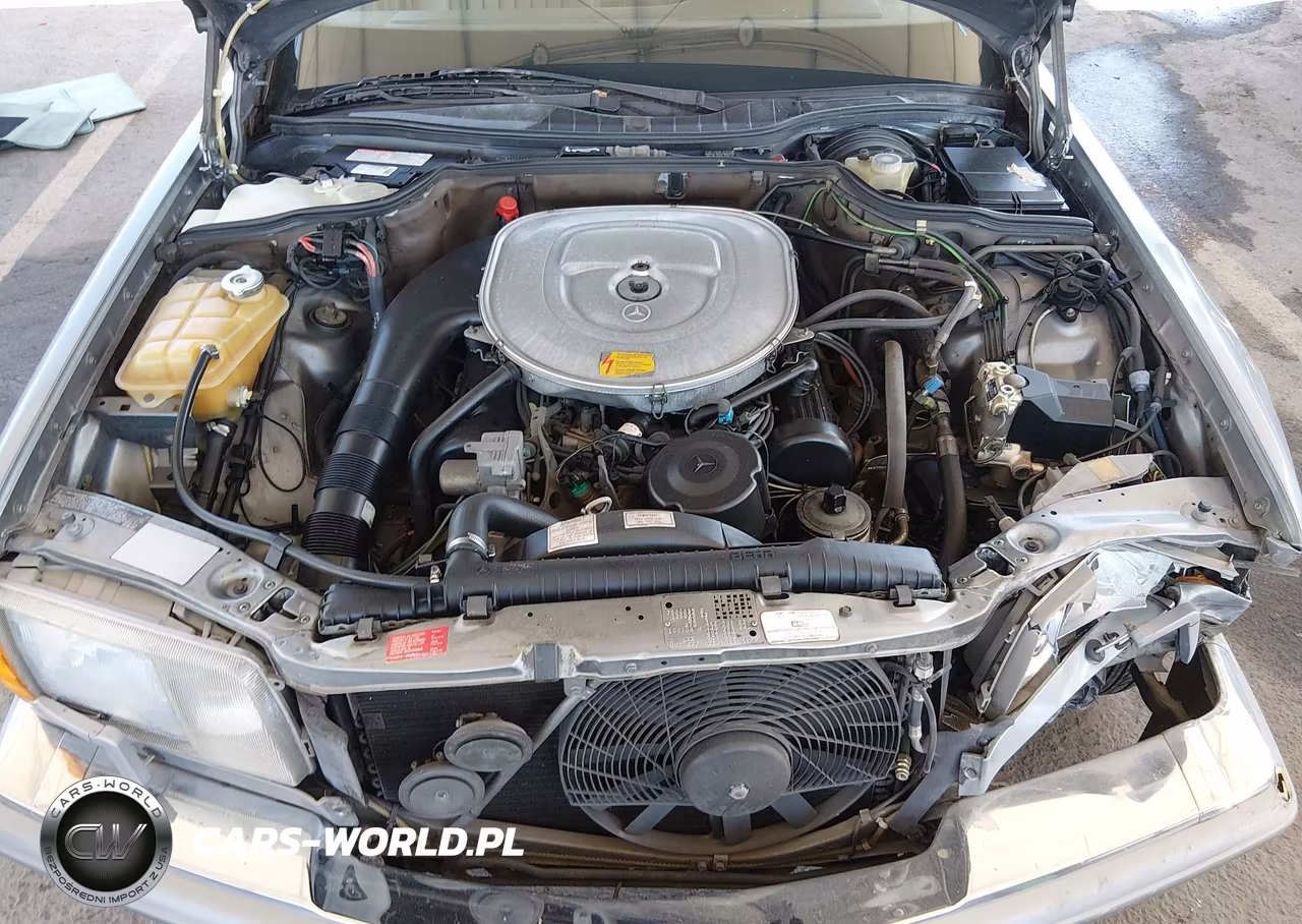 1987 Mercedes-Benz 420 Sel VIN:WDBCA35D8HA316807 - 10