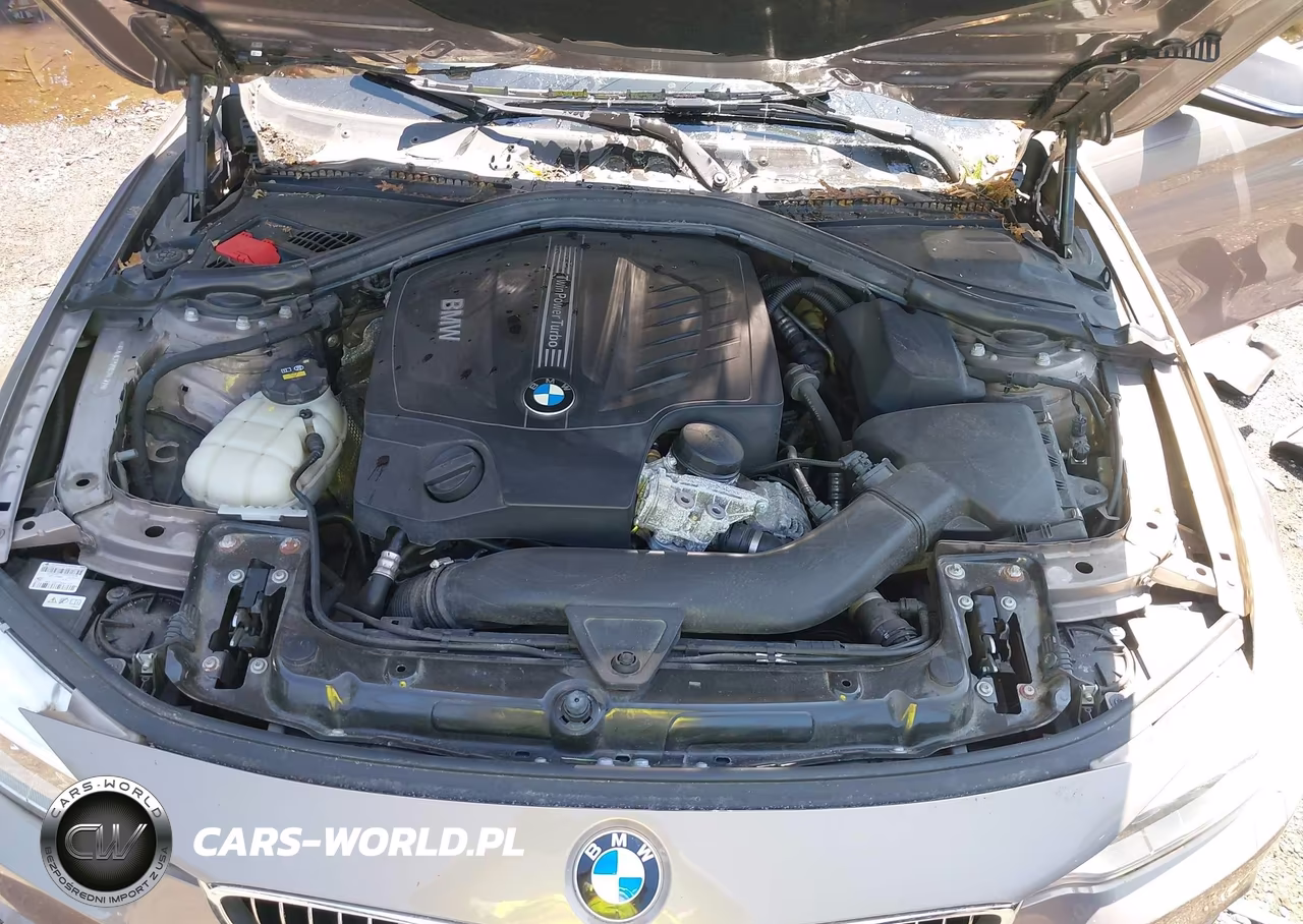 2016 BMW 435I Gran Coupe xDrive VIN:WBA4B3C57GG344377 - 10