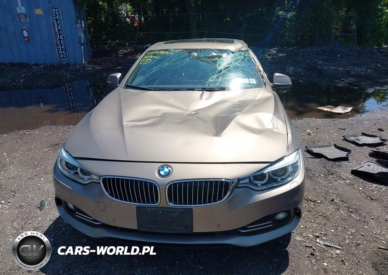 2016 BMW 435I Gran Coupe xDrive VIN:WBA4B3C57GG344377 - 12
