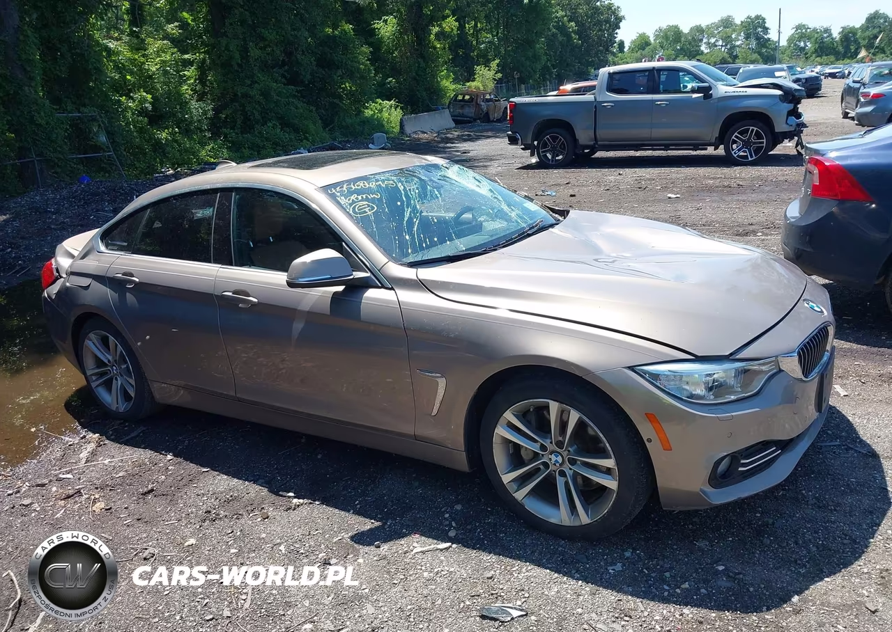 2016 BMW 435I Gran Coupe xDrive VIN:WBA4B3C57GG344377 - 13