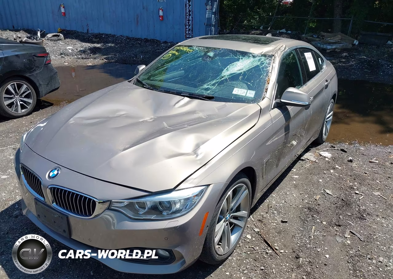 2016 BMW 435I Gran Coupe xDrive VIN:WBA4B3C57GG344377 - 6