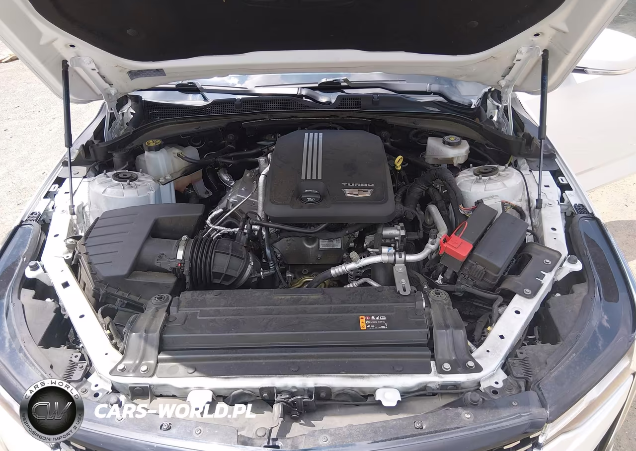 2023 Cadillac Ct4 Luxury VIN:1G6DJ5RK0P0130874 - 10