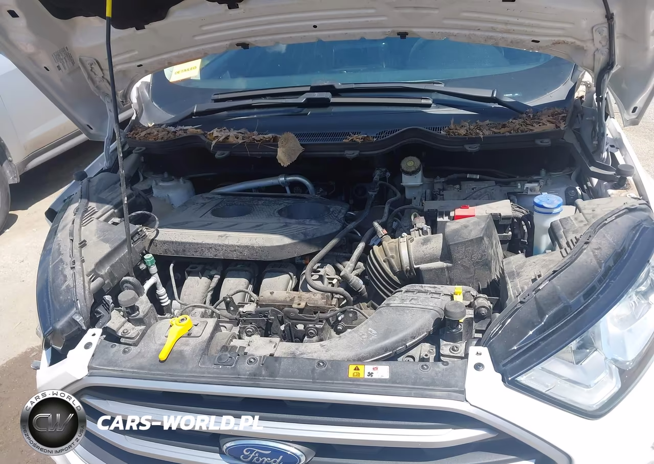 2021 Ford Ecosport Se VIN:MAJ6S3GLXMC396258 - 10