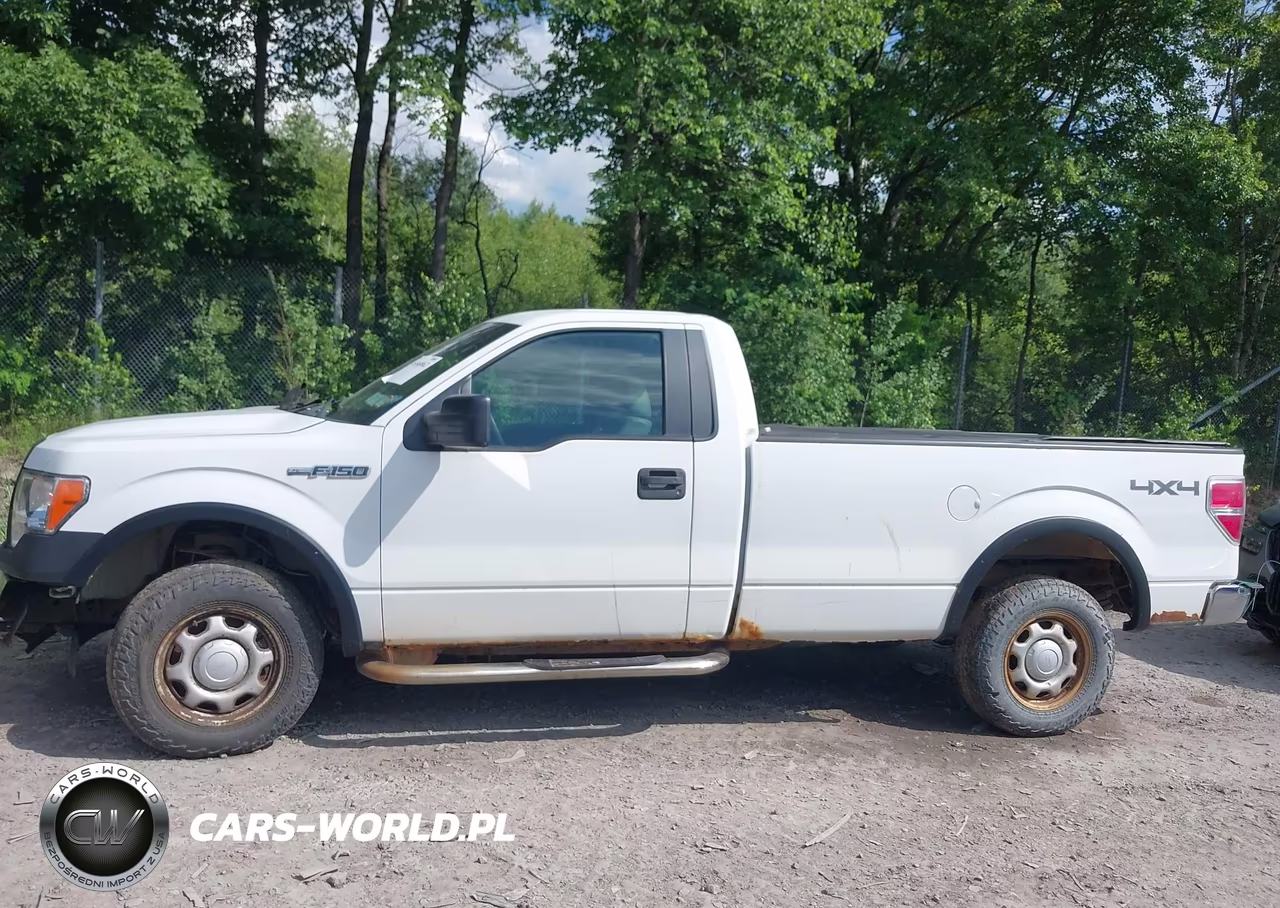 2011 Ford F-150 Stx-Xl-Xlt VIN:1FTMF1EM0BKD82832 - 14