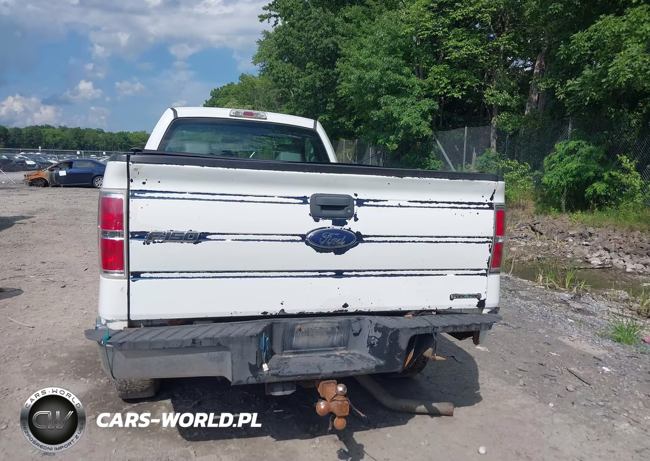 2011 Ford F-150 Stx-Xl-Xlt VIN:1FTMF1EM0BKD82832 - 16