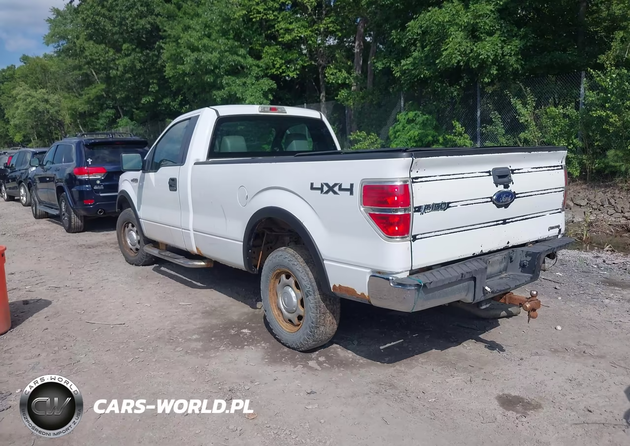 2011 Ford F-150 Stx-Xl-Xlt VIN:1FTMF1EM0BKD82832 - 3