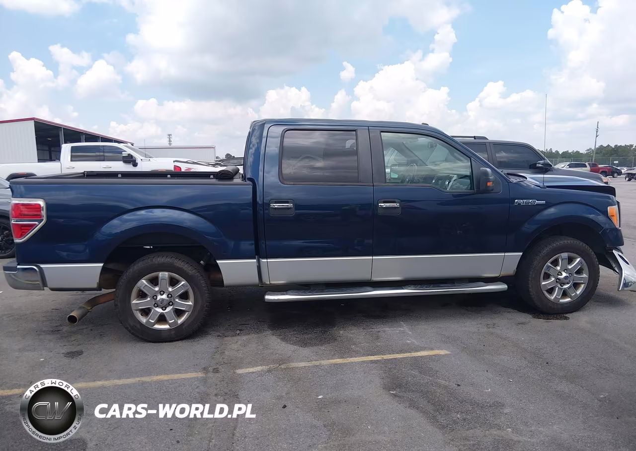 2013 Ford F-150 Fx2-King Ranch-Lariat-Platinum-Xl-Xlt VIN:1FTFW1CF7DFC31754 - 13